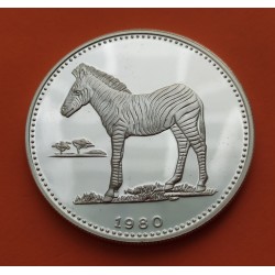 @RARA y MARCAS@ GUINEA ECUATORIAL 2000 EKUELE 1980 CEBRA AFRICANA KM.55 MONEDA DE PLATA PROOF