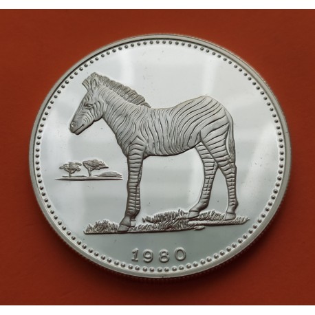 @RARA y MARCAS@ GUINEA ECUATORIAL 2000 EKUELE 1980 CEBRA AFRICANA KM.55 MONEDA DE PLATA PROOF