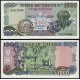 GHANA 1000 CEDIS 1996 FEBRERO 2 DIAMANTES y RECOLECTORES DE CACAO Pick 29B BILLETE SC Africa UNC BANKNOTE 23.02.1996