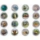 . 1 ALBUM GRATIS + 16 Monedas ESPAÑA 1,50 EUROS 2022 ANIMALES EN PELIGRO DE EXTINCIÓN NICKEL SC 4 Series