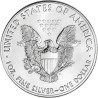 @1 ONZA 2020@ ESTADOS UNIDOS 1 DOLAR 2020 EAGLE LIBERTY MONEDA DE PLATA PURA 999 SC $1 Dollar Coin USA UNITED STATES OZ OUNCE