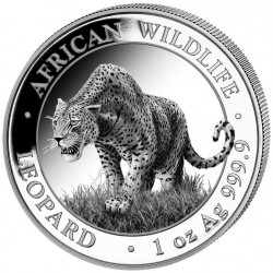 . 1 acoin SOMALIA 100 SHILLINGS 2023 LEOPARDO African Wildlife MONEDA DE PLATA cápsula ONZA OZ Leopard