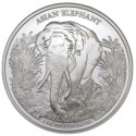 . 1 acoin CAMBOYA 3000 RIELS 2023 ELEFANTE ASIÁTICO The Big Five 1ª MONEDA DE PLATA ONZA Oz cápsula ELEPHANT