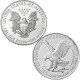 . 2 monedas @DISEÑO VIEJO + DISEÑO NUEVO@ x ESTADOS UNIDOS 1 DOLAR 2021 EAGLE LIBERTY PLATA PURA SC ONZA Oz Ounce