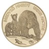 . 1 acoin 5ª moneda x ESLOVAQUIA 5 EUROS 2023 OSO y SUS CRÍAS Fauna LATON SC Slovakia BEAR