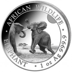 . 1 aacoin @ENVIO HOY@ SOMALIA 100 SHILLINGS 2024 ELEFANTE AFRICANO LUCHANDO MONEDA DE PLATA silver CAPSULA ONZA OZ Elephant