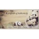 . 2 monedas @TIRADA 500 uds@ CHINA 10 YUAN 2019 OSO PANDA Edición NIGHT & DAY ESTUCHE CERTIFICADO PLATA Oz ONZA