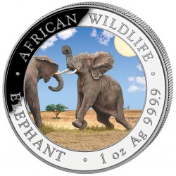 . 1 aacoin @1 ONZA 2024 + COLORES@ SOMALIA 100 SHILLINGS 2024 ELEFANTE AFRICANO MONEDA DE PLATA Oz FARBE COLOURED