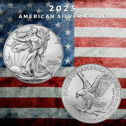 . 1 aaacoin ESTADOS UNIDOS 1 DOLAR 2024 EAGLE Letra W LIBERTY MONEDA DE PLATA PURA SC cápsula OZ ONZA