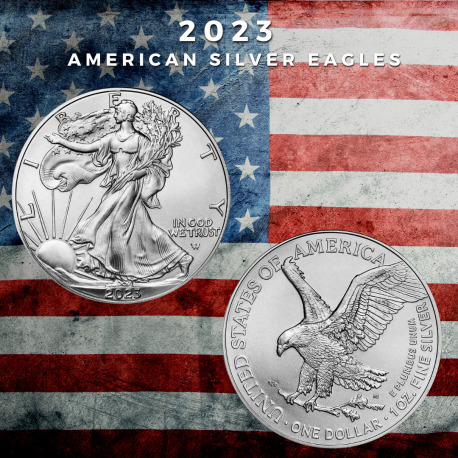 . 1 aaacoin ESTADOS UNIDOS 1 DOLAR 2024 EAGLE Letra W LIBERTY MONEDA DE PLATA PURA SC cápsula OZ ONZA
