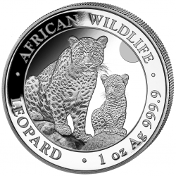 . 1 aaacoin SOMALIA 100 SHILLINGS 2024 LEOPARDO African Wildlife MONEDA DE PLATA cápsula ONZA OZ Leopard