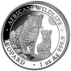 . 1 aaacoin @18/ABRIL Envío@ SOMALIA 100 SHILLINGS 2024 LEOPARDO African Wildlife MONEDA DE PLATA cápsula ONZA OZ Leopard