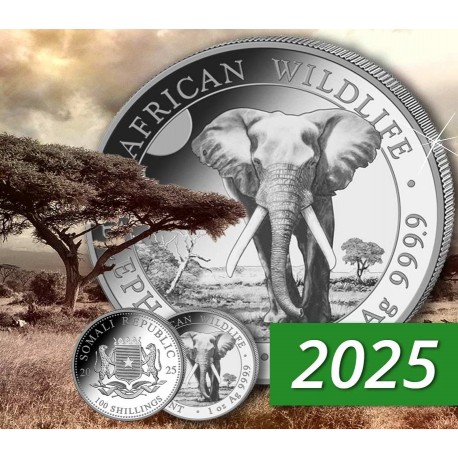 . 1 aaaacoin @ENVÍO HOY@ SOMALIA 100 SHILLINGS 2025 ELEFANTE AFRICANO MONEDA DE PLATA silver CAPSULA ONZA OZ Elephant