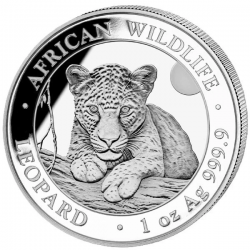 . 1 aaaaaacoin @30/MAYO Envío@ SOMALIA 100 SHILLINGS 2025 LEOPARDO African Wildlife MONEDA DE PLATA cápsula ONZA OZ Leopard