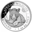 . 1 aaaaaacoin @30/MAYO Envío@ SOMALIA 100 SHILLINGS 2025 LEOPARDO African Wildlife MONEDA DE PLATA cápsula ONZA OZ Leopard