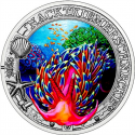 . 1 aaaaaaaacoin @ENVÍO HOY@ AUSTRIA 3 EUROS 2025 NUDIBRANQUIO Vida Marina @COLORES@ 11ª MONEDA DE NICKEL