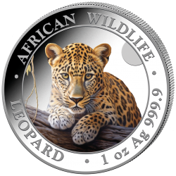 . 1 aaaaaaaacoin @4/JULIO Envío - COLORES@ SOMALIA 100 SHILLINGS 2025 LEOPARDO African Wildlife MONEDA DE PLATA ONZA OZ