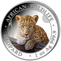 . 1 aaaaaaaacoin @4/JULIO Envío - COLORES@ SOMALIA 100 SHILLINGS 2025 LEOPARDO African Wildlife MONEDA DE PLATA ONZA OZ