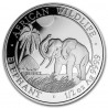 @LA DE LA FOTO@ SOMALIA 50 SHILLINGS 2017 ELEFANTES MONEDA DE PLATA PROOFLIKE OZ silver coin 1/2 ONZA