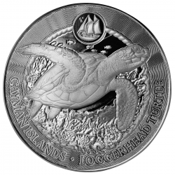 . 1 aaaaaacoin @5/SEP Envío@ CAYMAN 1 DOLAR 2025 TORTUGA BOBA MONEDA DE PLATA OZ ONZA Islands LOGGERHEAD TURTLE