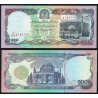AFGANISTAN 5000 AFGHANIS 1993 MEZQUITA y ANTIGUO PALACIO Pick 62 BILLETE SC Afghanistan UNC BANKNOTE