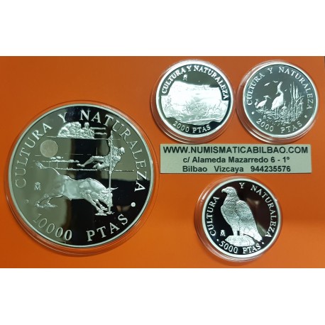 8,20 ONZAS x ESPAÑA 1ª SERIE CULTURA y NATURALEZA ESPAÑA 2000 PESETAS + 5000 PESETAS + 10000 PESETAS 1994 PLATA FNMT NO CAPSULAS