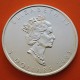 CANADA 5 DOLARES 2003 HOJA DE ARCE MONEDA DE PLATA PURA $5 Dollars Coin 1 ONZA OZ OUNCE MAPLE LEAF cápsula