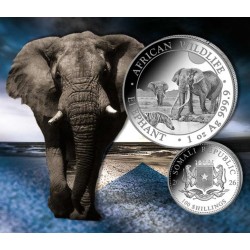 . 1 aaaaaaaaaacoin @6/NOVIEMBRE Envío@ SOMALIA 100 SHILLINGS 2026 ELEFANTES MONEDA DE PLATA silver ONZA OZ African Elephant