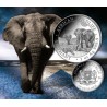 . 1 aaaaaaaaaacoin @6/NOVIEMBRE Envío@ SOMALIA 100 SHILLINGS 2026 ELEFANTES MONEDA DE PLATA silver ONZA OZ African Elephant