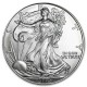 ESTADOS UNIDOS 1 DOLAR 2005 EAGLE LIBERTY MONEDA DE PLATA PURA SC $1 Dollar Coin USA UNITED STATES ONZA OZ OUNCE