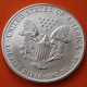 ESTADOS UNIDOS 1 DOLAR 2003 EAGLE LIBERTY MONEDA DE PLATA PURA SC $1 Dollar Coin USA UNITED STATES ONZA OZ OUNCE
