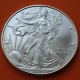 ESTADOS UNIDOS 1 DOLAR 2005 EAGLE LIBERTY MONEDA DE PLATA PURA SC $1 Dollar Coin USA UNITED STATES ONZA OZ OUNCE