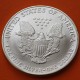 ESTADOS UNIDOS 1 DOLAR 2005 EAGLE LIBERTY MONEDA DE PLATA PURA SC $1 Dollar Coin USA UNITED STATES ONZA OZ OUNCE