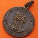 . @MUY RARA@ ESPAÑA 1875 MEDALLA CARLISTA JURAMENTO DE DON CARLOS VII NEURE EuSKALDUNAI GOMUTAGARRI BRONCE