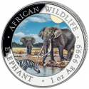 . @14/ENERO Envío - COLORES@ SOMALIA 100 SHILLINGS 2026 ELEFANTE AFRICANO MONEDA DE PLATA 1 ONZA Oz Farbe Coloured