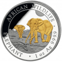 . @14/ENERO Envío + ORO@ SOMALIA 100 SHILLINGS 2026 ELEFANTE AFRICANO MONEDA DE PLATA 1 ONZA Oz Farbe Coloured