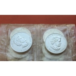 CANADA 5 DOLARES 2004 HOJA DE ARCE Reina ISABEL II @VER FOTOS@ MONEDA PLATA PURA 1 ONZA Oz MAPLE LEAF