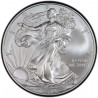 ESTADOS UNIDOS 1 DOLAR 2009 EAGLE LIBERTY @VER FOTOS@ MONEDA DE PLATA PURA SC $1 Dollar Coin USA ONZA OZ OUNCE