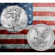 . 1 aaaaaaaaaacoin ESTADOS UNIDOS 1 DOLAR 2025 EAGLE Letra W LIBERTY MONEDA DE PLATA PURA cápsula OZ ONZA