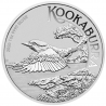. @ENVÍO HOY@ AUSTRALIA 1 DOLAR 2026 KOOKABURRA Carlos III MONEDA DE PLATA PURA cápsula 1 ONZA OZ