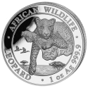 SOMALIA 100 SHILLINGS 2020 LEOPARDO EN RAMA African Wildlife MONEDA DE PLATA PROOFLIKE Oz Ounce 1 ONZA