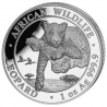 SOMALIA 100 SHILLINGS 2020 LEOPARDO EN RAMA African Wildlife MONEDA DE PLATA PROOFLIKE Oz Ounce 1 ONZA