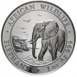SOMALIA 100 SHILLINGS 2010 ELEFANTES AFRICAN WILDLIFE SC MONEDA DE PLATA 1 ONZA Oz OUNCE Somali Republic Elephants silver