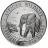 SOMALIA 100 SHILLINGS 2010 ELEFANTES AFRICAN WILDLIFE SC MONEDA DE PLATA 1 ONZA Oz OUNCE Somali Republic Elephants silver