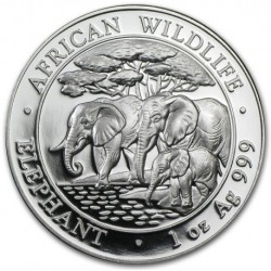 SOMALIA 100 SHILLINGS 2013 ELEFANTES AFRICAN WILDLIFE SC MONEDA DE PLATA 1 ONZA Oz OUNCE Somali Republic Elephants silver