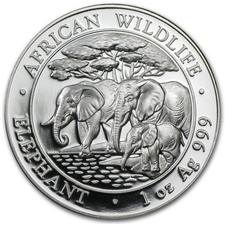 SOMALIA 100 SHILLINGS 2013 ELEFANTES AFRICAN WILDLIFE SC MONEDA DE PLATA 1 ONZA Oz OUNCE Somali Republic Elephants silver