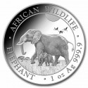 SOMALIA 100 SHILLINGS 2022 ELEFANTE AFRICANO y CRIA MONEDA DE PLATA Oz silver 1 ONZA 2022 cápsula ELEPHANT