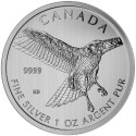 CANADA 5 DOLARES 2015 WILDLIFE HALCON DE COLA ROJA MONEDA DE PLATA PURA 9999 $5 Dollars silver coin 1 ONZA