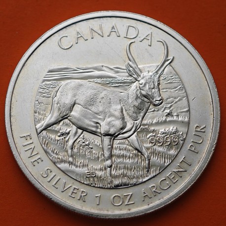 . @VER FOTOS - IMPERFECCIONES@ CANADA 5 DOLARES 2013 WILDLIFE ANTILOPE MONEDA DE PLATA PURA 9999 $5 silver ONZA OZ cápsula
