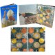@OFERTA@ VATICANO MONEDAS EURO PRUEBA 2004 THE HOLY FATHER JUAN PABLO II ESSAI PROBE PATTERN 8 coins Vatican NO OFICIALES